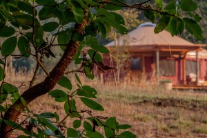 Yurt at Bell Valley Retreat