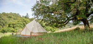 tent location tent at Bell Valley Retreat in Anderson Valley, Mendocino County, California