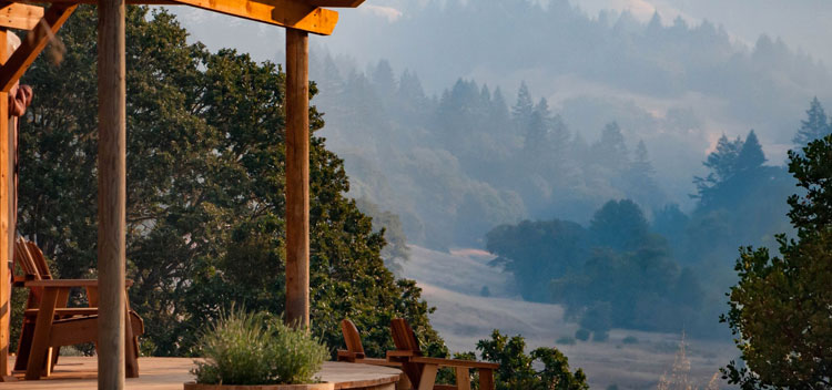 peaceful view of the wooded hillside at The Toll House at Bell Valley Retreat in Anderson Valley, Mendocino County, California