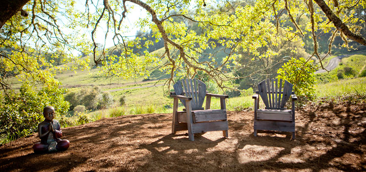 chairs in the dappled shade under an oak tree at The Toll House at Bell Valley Retreat in Anderson Valley, Mendocino County, California