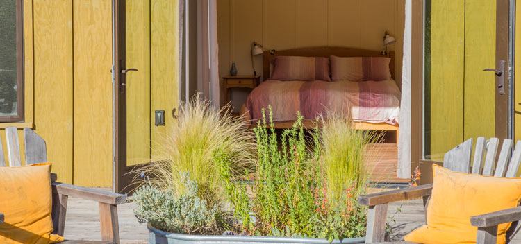 Creekside bedroom with doors open to the patio at Bell Valley Retreat