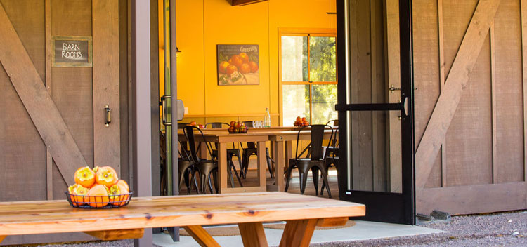 the patio at the barn with picnic table and a view into the sunny downstairs meeting room